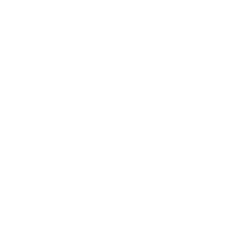 light logo